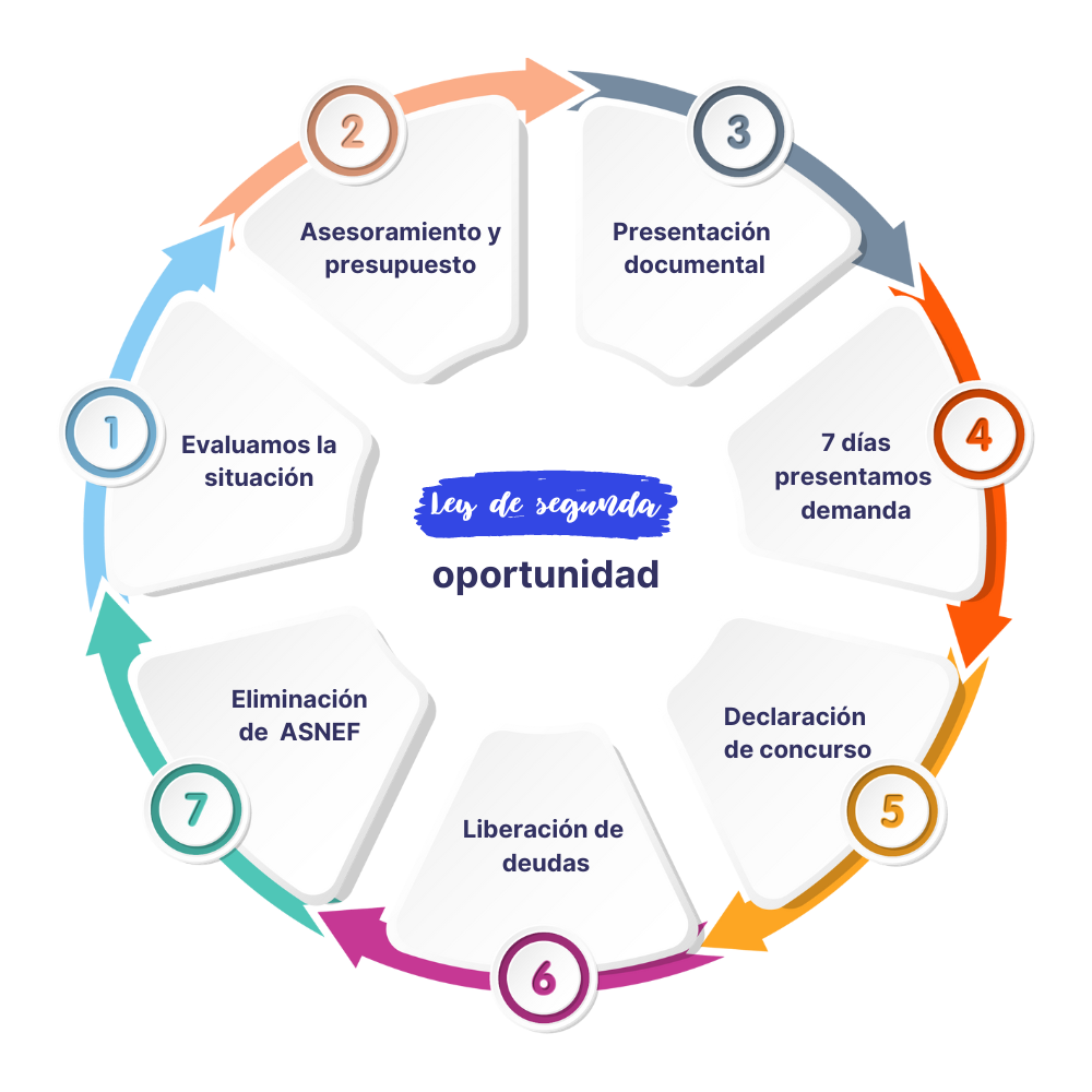 La rueda del procedimiento a seguir cuando uno se acoge a la Ley de Segunda Oportunidad